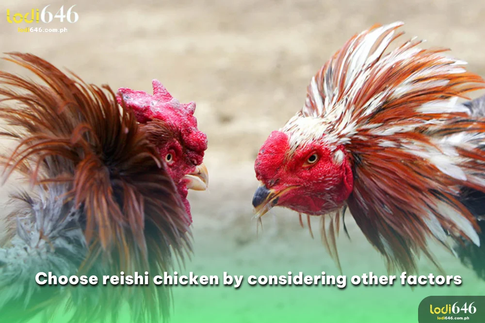 Choose reishi chicken by considering other reason