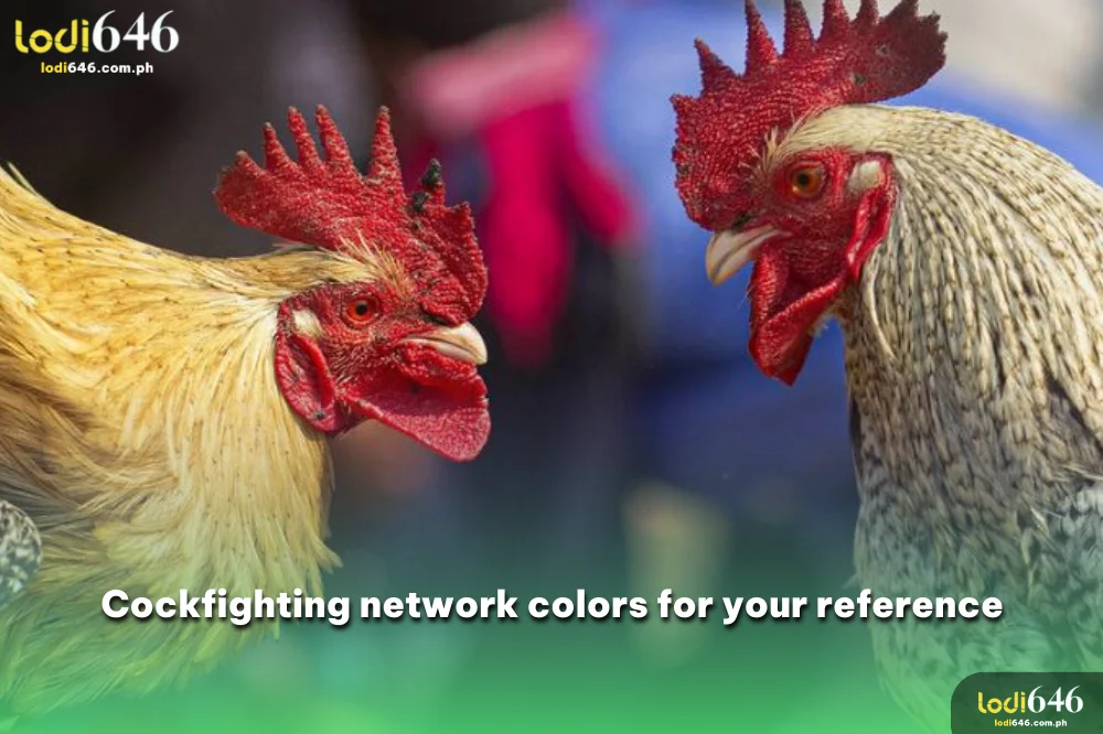 Cockfighting network colors for your reference