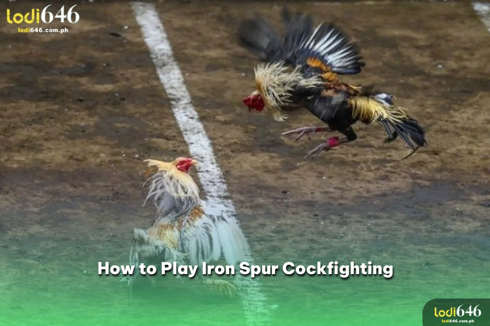 How to play iron spur cockfighting